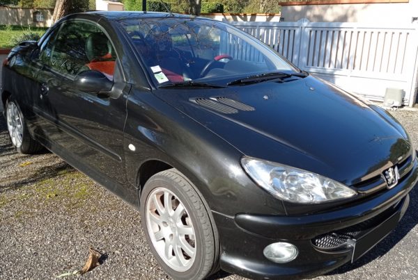 Peugeot 206 CC 2L 16V STAGE 1 E85